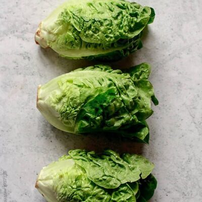 LECHUGA BABY