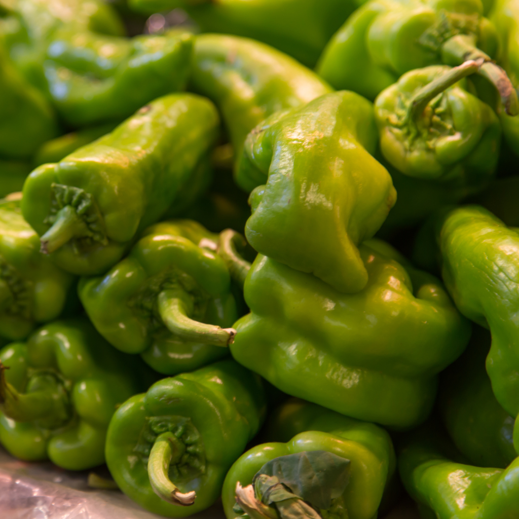 PIMIENTO ITALIANO B