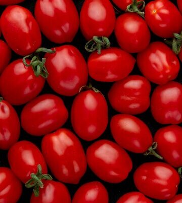 TOMATE PERA